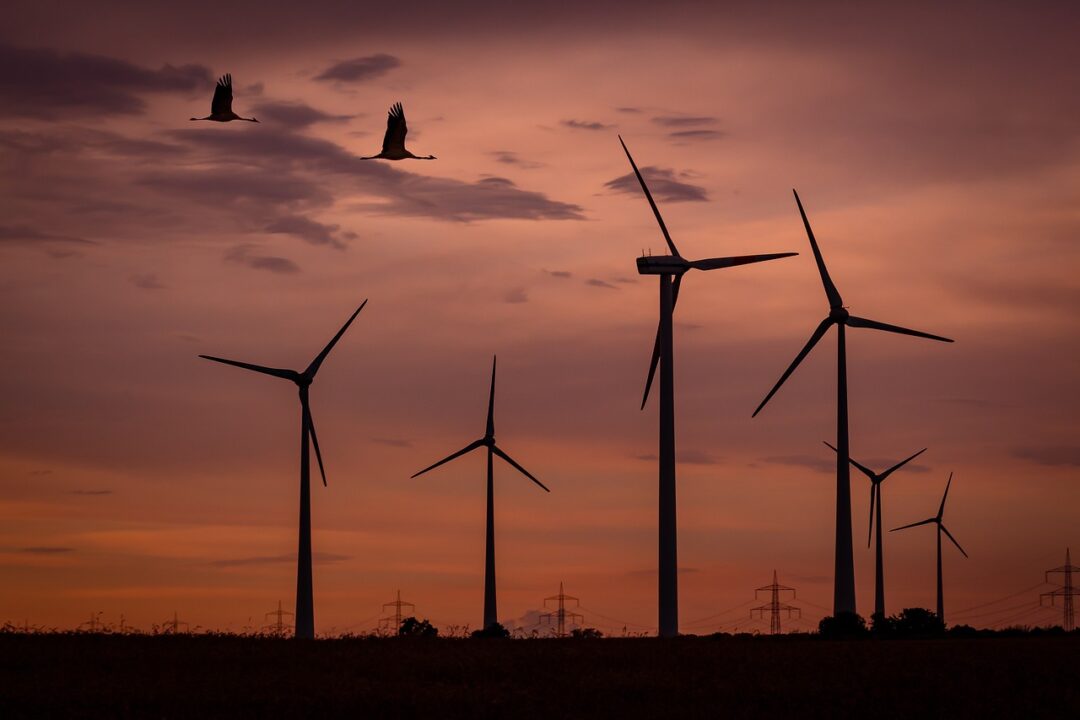 Regionalplan: In der Region Detmold müssen 13.888 Hektar für Windenergie festgelegt werden - ein Flächenanteil von 2,13 Prozent.