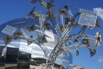 Mit dem Laptop in den Park – Praktikum in Bristol, Teil 2